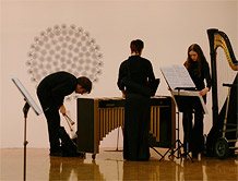 Ensemble Adapter